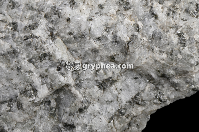 Granite (Emosson, Suisse) - détail - gryphea.com